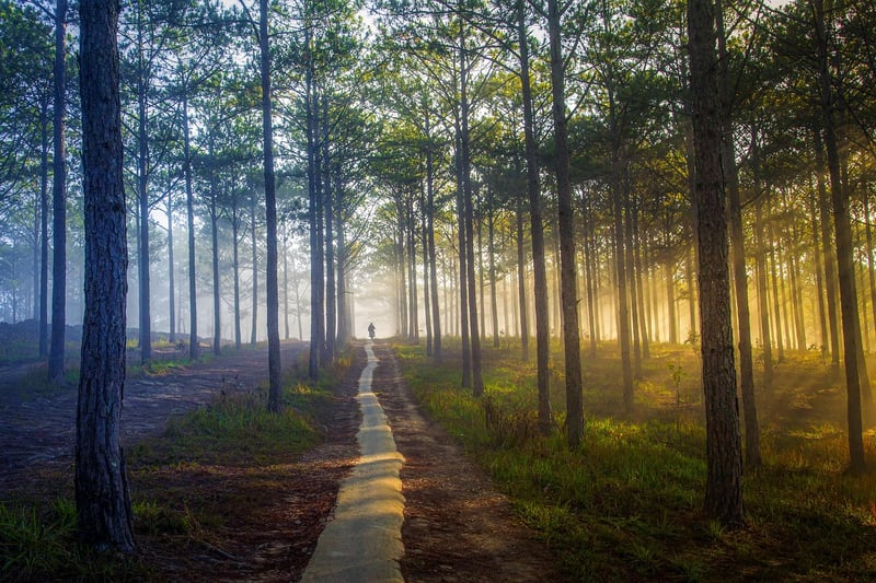 Wilderness Exploration